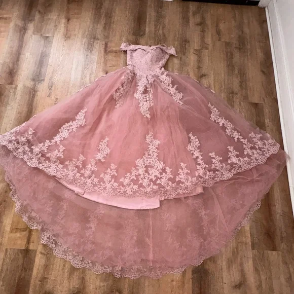 Amazon Dusty Rose Lace Tulle Ball Gown Dress with Bow - Picture 3 of 7